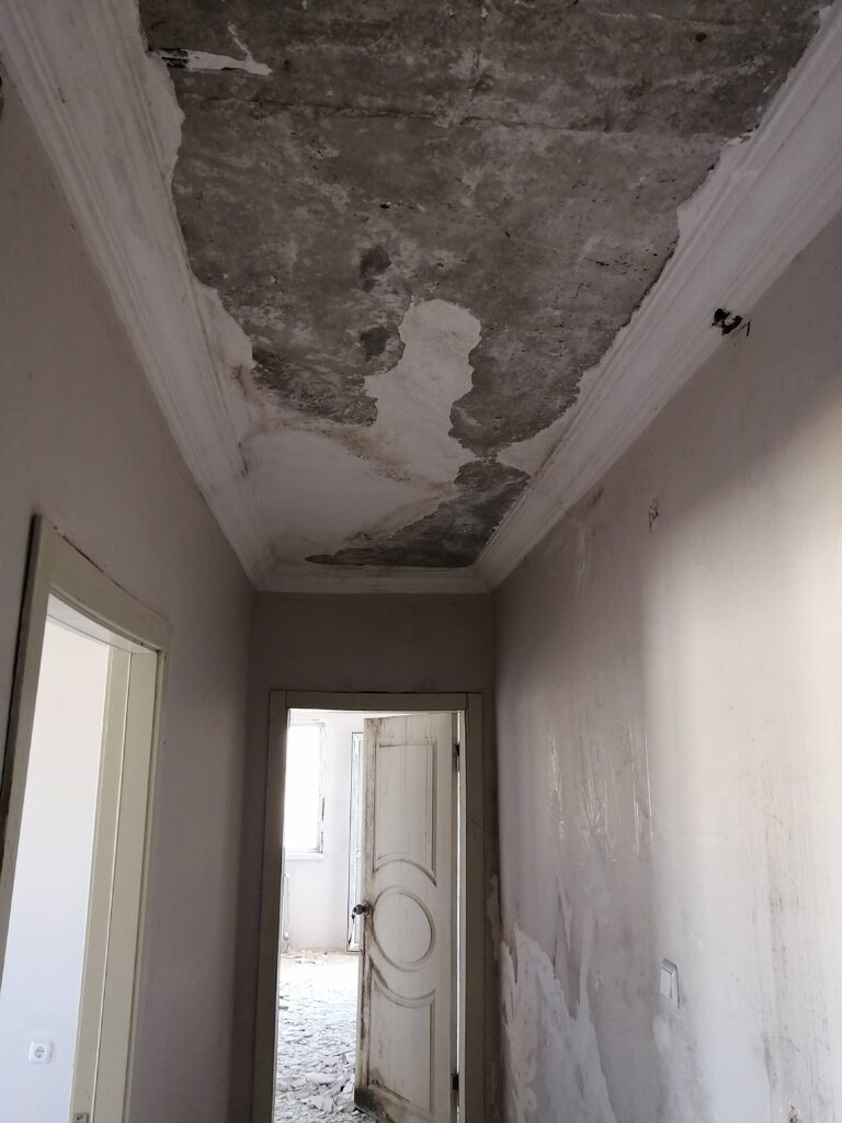 #mcallen #Edinburg #pharr #mission #rgv #mcallenhomerenovation, #mcallenbathroomrenovation, #mcallensmallbathroomrenovation, #bathroomrenovation, #homerenovation, #mcallenkitchenrenovation, #kitchenrenovation, #mcallenhomeremodeling, #mcallenkitchenremodeling, #homeremodeling, #remodeling, #remodel, #renovation, #mission, #edinburg, #pharr, #remodelingpharr, #remodelmission, #renovationedinburg, #missionremodeling, #edinburgremodeling, #pharrremodeling, #missionbathroomrenovation, #missionsmallbathroomrenovation, #bathroomrenovation #homerenovation,